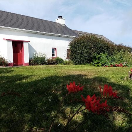 Donegal Town B&B The Red Door Cottage מראה חיצוני תמונה
