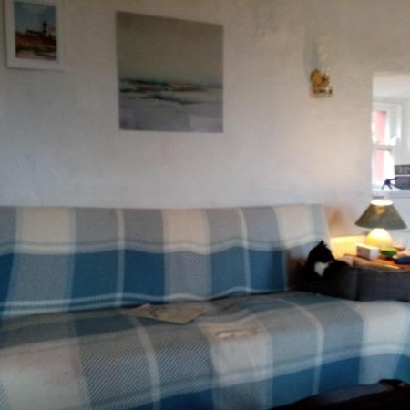 Donegal Town B&B The Red Door Cottage מראה חיצוני תמונה
