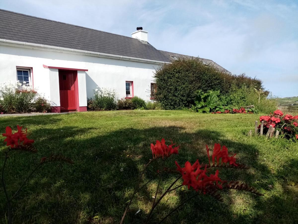 Donegal Town B&B The Red Door Cottage מראה חיצוני תמונה