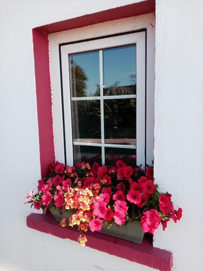 Donegal Town B&B The Red Door Cottage מראה חיצוני תמונה