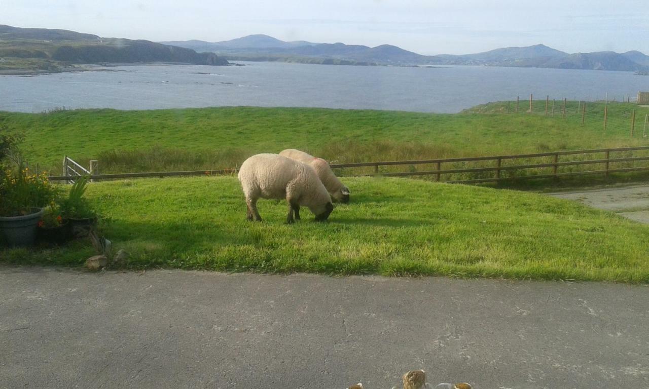 Donegal Town B&B The Red Door Cottage מראה חיצוני תמונה